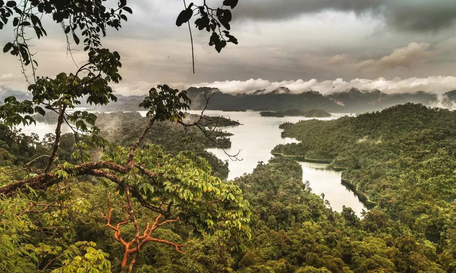 Het-weer-in-Khao-Sok_Bram_1500x950-1500x900-1.webp