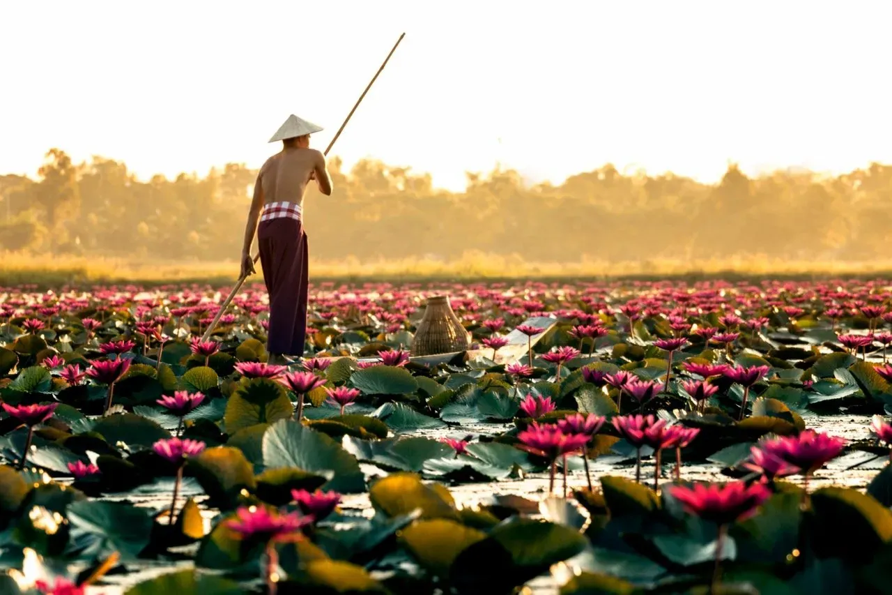 Red-lotus-lake-1.webp