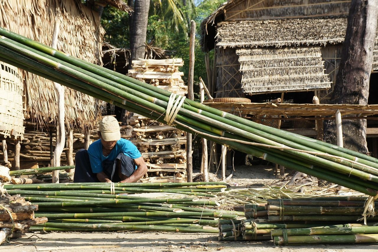 bamboo_1697154_1280_43b243b98f.jpg