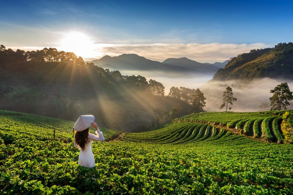 chiang-mai-eco-tourism-1024x683.jpeg