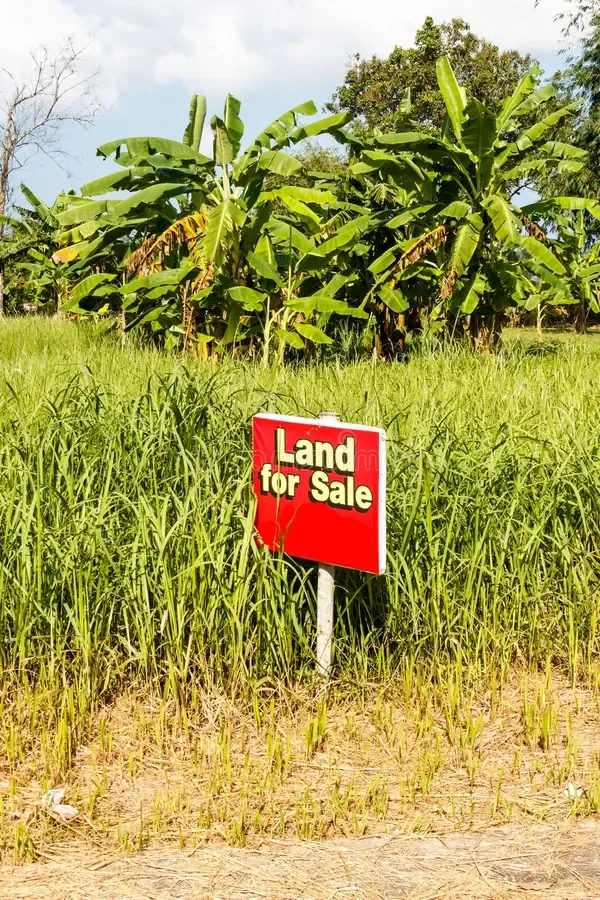 land-sale-sign-phuket-thailand-land-sale-sign-117043657.webp