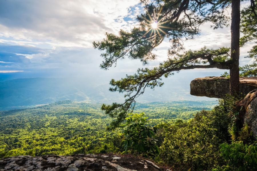phu-kradueng-viewpoint-w-900.jpg